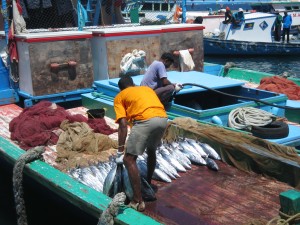 Fish market in Male